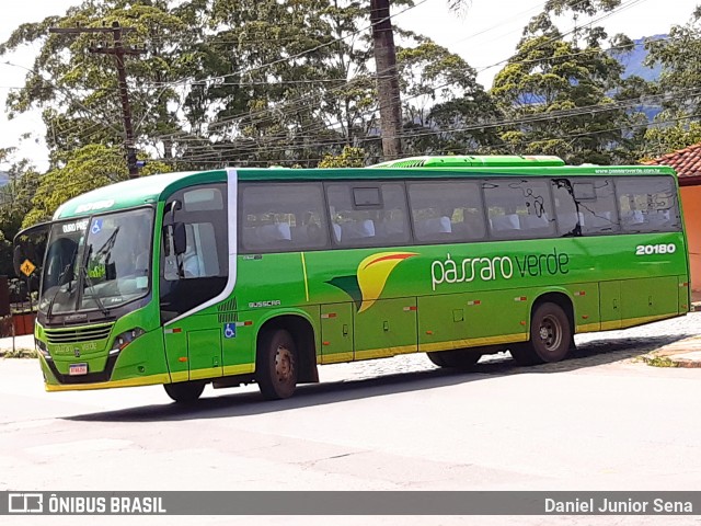 Pássaro Verde 20180 na cidade de Ouro Preto, Minas Gerais, Brasil, por Daniel Junior Sena. Número da foto: #8536056.