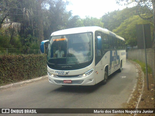 Falcão Real 3701 na cidade de Salvador, Bahia, Brasil, por Mario dos Santos Nogueira Junior. Número da foto: #9327616.