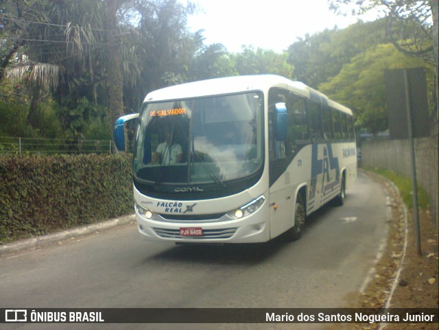 Falcão Real 3701 na cidade de Salvador, Bahia, Brasil, por Mario dos Santos Nogueira Junior. ID da foto: 9327616.