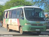 Ônibus Particulares 0132 na cidade de Nazaré da Mata, Pernambuco, Brasil, por Edjunior Sebastião. Número da foto: #9327482.