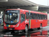 Empresa Metropolitana 502 na cidade de Recife, Pernambuco, Brasil, por Gustavo Felipe Melo. Número da foto: #:id.