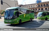 Pássaro Verde 19152 na cidade de Belo Horizonte, Minas Gerais, Brasil, por Vicente de Paulo Alves. Número da foto: #9355366.