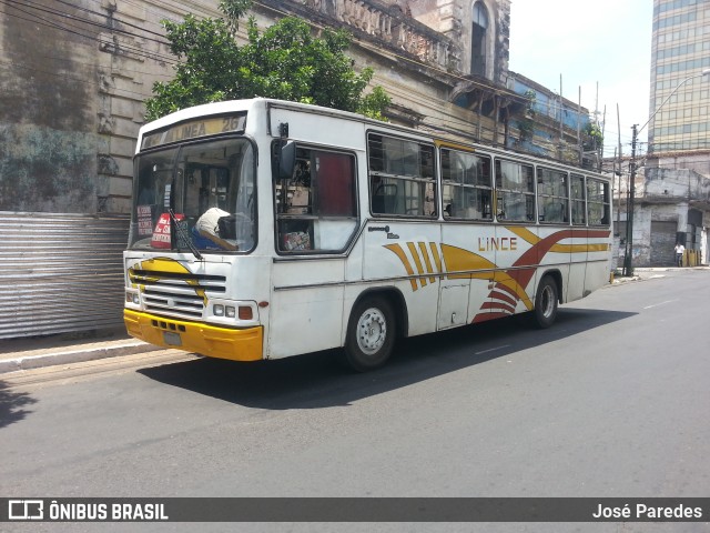 Lince 37 na cidade de Asunción, Paraguai, por José Paredes. Número da foto: #9362232.