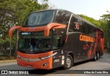 Catedral Turismo 20335 na cidade de São Paulo, São Paulo, Brasil, por Ailton da Costa Silva. Número da foto: #9363905.