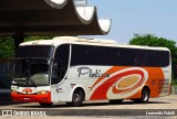 Viação Platina 6010 na cidade de Uberlândia, Minas Gerais, Brasil, por Leonardo Fidelli. ID da foto: :id.