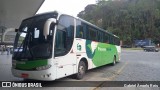 Pássaro Verde 29016 na cidade de Manhuaçu, Minas Gerais, Brasil, por Gabriel Ângelo Reis. Número da foto: #:id.