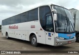 Pérola do Sul > Pérola Bus 117 na cidade de Pelotas, Rio Grande do Sul, Brasil, por Pedro Silva. Número da foto: #:id.
