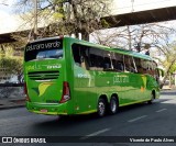 Pássaro Verde 19152 na cidade de Belo Horizonte, Minas Gerais, Brasil, por Vicente de Paulo Alves. Número da foto: #9362327.