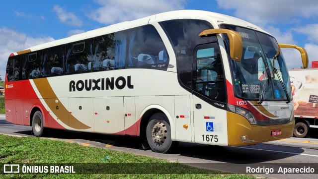 Rouxinol 1675 na cidade de Conselheiro Lafaiete, Minas Gerais, Brasil, por Rodrigo  Aparecido. Número da foto: #9369524.