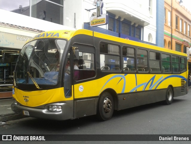 AMSA - Autotransportes Moravia 14 na cidade de Carmen, San José, San José, Costa Rica, por Daniel Brenes. Número da foto: #9367634.