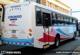 Transportes Coronado 15-3 na cidade de Carmen, San José, San José, Costa Rica, por Andrés Martínez Rodríguez. ID da foto: :id.