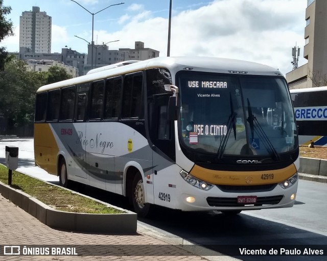 Rio Negro Fretamento e Turismo 42919 na cidade de Belo Horizonte, Minas Gerais, Brasil, por Vicente de Paulo Alves. ID da foto: 9372576.