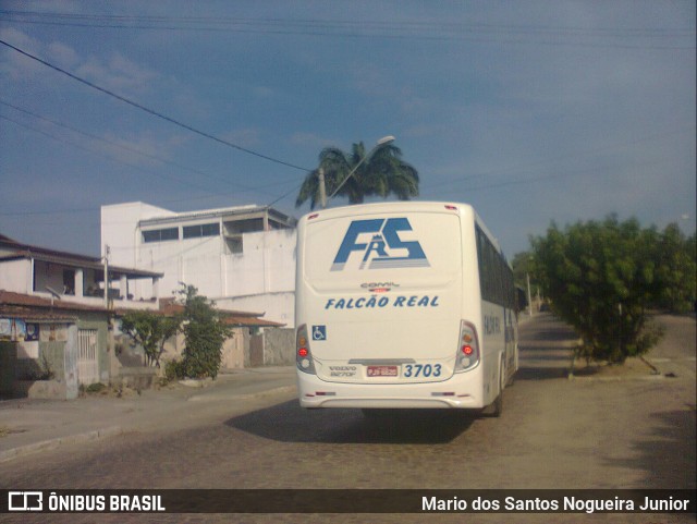 Falcão Real 3703 na cidade de Piritiba, Bahia, Brasil, por Mario dos Santos Nogueira Junior. Número da foto: #9373877.