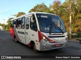 Rouxinol 1640 na cidade de Contagem, Minas Gerais, Brasil, por Marcos Felipe R. Goncalves. ID da foto: :id.