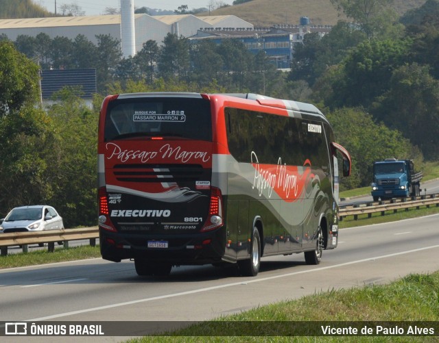 Empresa de Ônibus Pássaro Marron 8801 na cidade de Santa Isabel, São Paulo, Brasil, por Vicente de Paulo Alves. Número da foto: #9376515.
