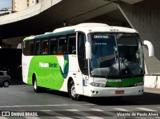 Pássaro Verde 29020 na cidade de Belo Horizonte, Minas Gerais, Brasil, por Vicente de Paulo Alves. ID da foto: 9376772.