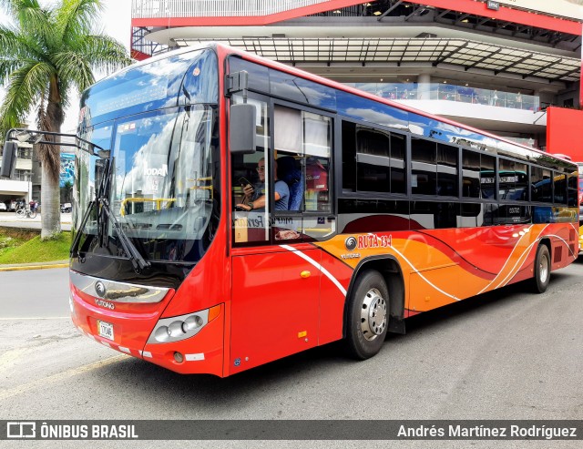 Hernandez Solis 17 na cidade de San Pedro, Montes de Oca, San José, Costa Rica, por Andrés Martínez Rodríguez. ID da foto: 9376494.