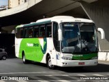 Pássaro Verde 29020 na cidade de Belo Horizonte, Minas Gerais, Brasil, por Vicente de Paulo Alves. Número da foto: #9376772.