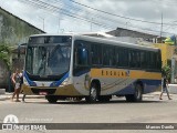 Águia Dourada 2033 na cidade de Itaporanga d`Ajuda, Sergipe, Brasil, por Marcos Danilo. Número da foto: #:id.