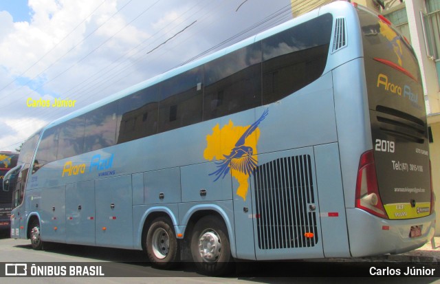 Arara Azul Transportes 2019 na cidade de Caldas Novas, Goiás, Brasil, por Carlos Júnior. ID da foto: 9380141.