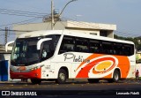 Viação Platina 2800 na cidade de Uberlândia, Minas Gerais, Brasil, por Leonardo Fidelli. Número da foto: #9380555.