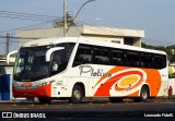 Viação Platina 2800 na cidade de Uberlândia, Minas Gerais, Brasil, por Leonardo Fidelli. ID da foto: :id.