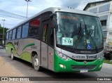 Turin Transportes 1810 na cidade de Itaguaí, Rio de Janeiro, Brasil, por Caio Alves. Número da foto: #9379581.