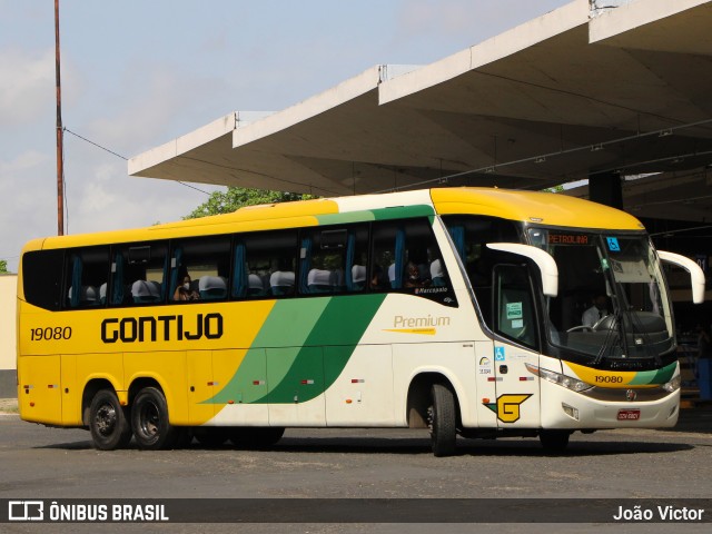 Empresa Gontijo de Transportes 19080 na cidade de Teresina, Piauí, Brasil, por João Victor. ID da foto: 9383022.