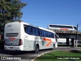 Viação Alvorada 828 na cidade de Vitória, Espírito Santo, Brasil, por Carlos Gabriel  Malacarne. Número da foto: #9386197.