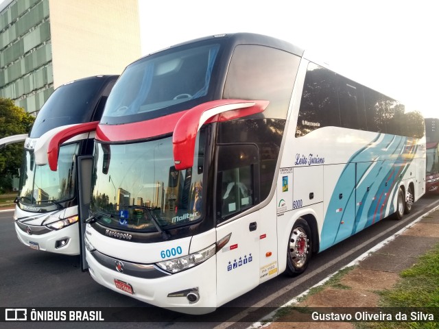 Malitur Turismo 6000 na cidade de Brasília, Distrito Federal, Brasil, por Gustavo Oliveira da Silva. Número da foto: #9328367.