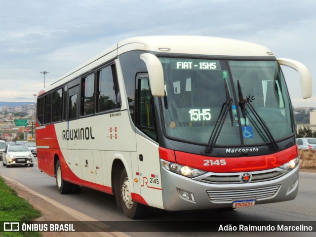 Rouxinol 2145 na cidade de Belo Horizonte, Minas Gerais, Brasil, por Adão Raimundo Marcelino. ID da foto: 9391908.