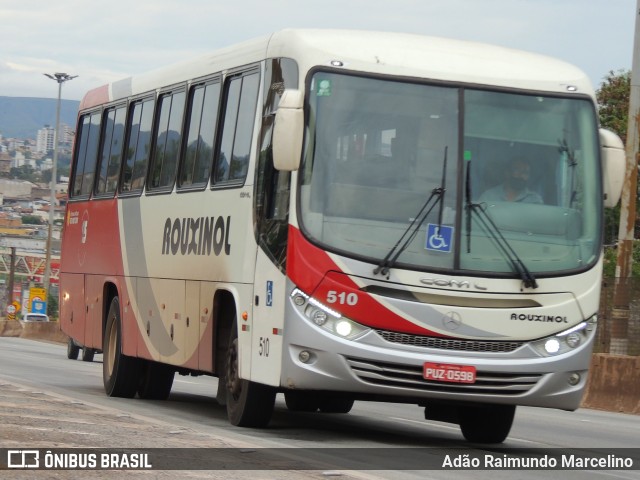 Rouxinol 510 na cidade de Belo Horizonte, Minas Gerais, Brasil, por Adão Raimundo Marcelino. ID da foto: 9391970.