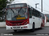 Rondônia Transportes 0110018 na cidade de Manaus, Amazonas, Brasil, por Cristiano Eurico Jardim. ID da foto: :id.