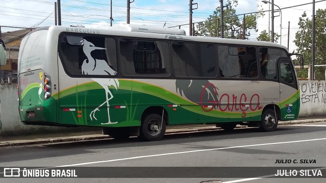 Garça Turismo 01 na cidade de Porto Alegre, Rio Grande do Sul, Brasil, por JULIO SILVA. Número da foto: #9395003.