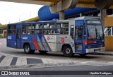 Tucuruvi Transportes e Turismo 9242 na cidade de São Paulo, São Paulo, Brasil, por Hipólito Rodrigues. ID da foto: :id.