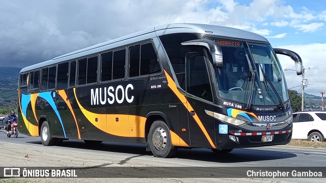 Musoc 182 na cidade de Cartago, Cartago, Costa Rica, por Christopher Gamboa. ID da foto: 9399319.