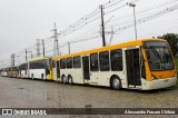 Transportes Coletivos Nossa Senhora da Piedade 902 na cidade de Campo Largo, Paraná, Brasil, por Alessandro Fracaro Chibior. Número da foto: #9399490.