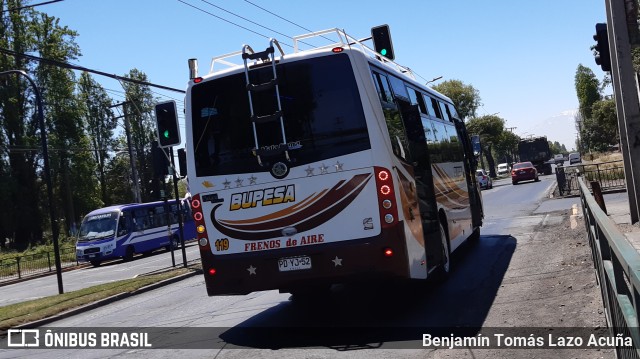 Bupesa 119 na cidade de Maipú, Santiago, Metropolitana de Santiago, Chile, por Benjamín Tomás Lazo Acuña. Número da foto: #9403780.