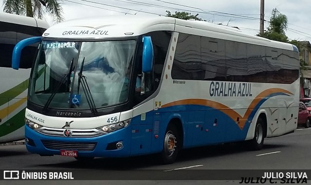 Gralha Azul 456 na cidade de Porto Alegre, Rio Grande do Sul, Brasil, por JULIO SILVA. Número da foto: #9407690.