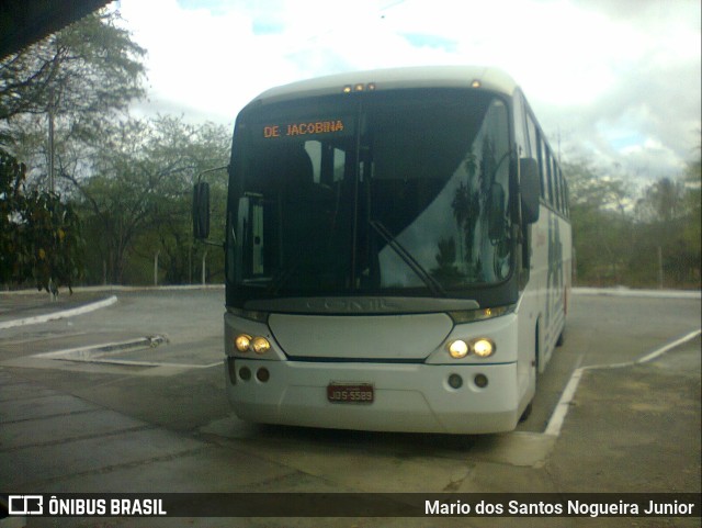 Falcão Real 6220 na cidade de Piritiba, Bahia, Brasil, por Mario dos Santos Nogueira Junior. ID da foto: 9411587.