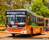 Ñanduti S.R.L. - Línea 165 109 na cidade de Itauguá, Central, Paraguai, por Elliot Felip. Número da foto: #9420724.
