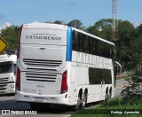 Auto Viação Catarinense 321318 na cidade de Conselheiro Lafaiete, Minas Gerais, Brasil, por Rodrigo  Aparecido. Número da foto: #9419446.