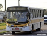 Francovig Transportes Coletivos 224 na cidade de Araucária, Paraná, Brasil, por Hipólito Rodrigues. Número da foto: #9424608.