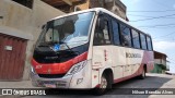 Rouxinol 2177 na cidade de Belo Horizonte, Minas Gerais, Brasil, por Nilson Brandão Alves. Número da foto: #9337647.