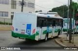Pioneira Transportes 1075 na cidade de Cascavel, Paraná, Brasil, por Carlos Campos. Número da foto: #:id.