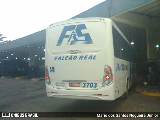 Falcão Real 3703 na cidade de Salvador, Bahia, Brasil, por Mario dos Santos Nogueira Junior. ID da foto: 9338415.