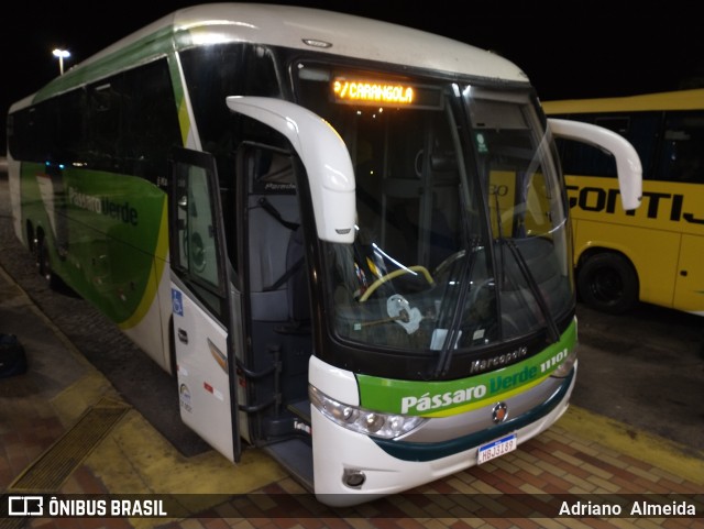 Pássaro Verde 11101 na cidade de João Monlevade, Minas Gerais, Brasil, por Adriano  Almeida. ID da foto: 9344078.