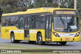Viação Pioneira 223603 na cidade de Brasília, Distrito Federal, Brasil, por José Augusto de Souza Oliveira. Número da foto: #9343607.