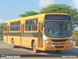 Ônibus Particulares 4E11 na cidade de Nazaré da Mata, Pernambuco, Brasil, por Edjunior Sebastião. ID da foto: :id.