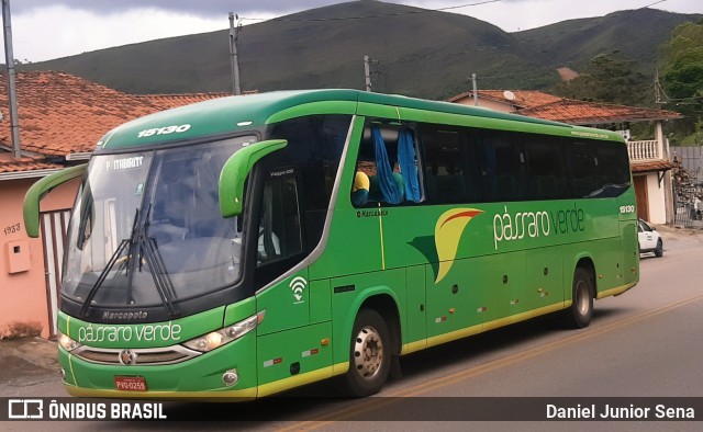 Pássaro Verde 15130 na cidade de Ouro Preto, Minas Gerais, Brasil, por Daniel Junior Sena. ID da foto: 9454145.